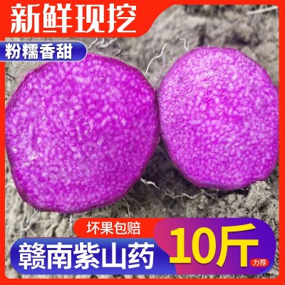 赣南紫山药新鲜蔬菜现挖现发赣南紫人参脚板薯紫大署紫玉淮山图3