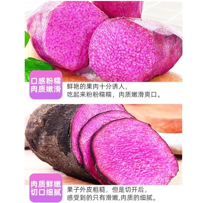 赣南紫山药新鲜蔬菜现挖现发赣南紫人参脚板薯紫大署紫玉淮山图4