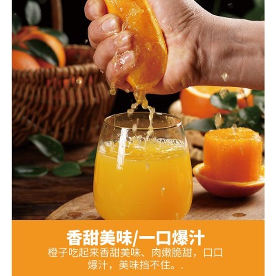 【果园直供】正宗赣南脐橙现摘现发新鲜水果皮薄香甜橙子一件代发