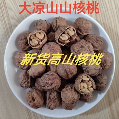 核桃新货批发薄壳干核桃非新疆纸皮干果核桃坚果大凉山核桃