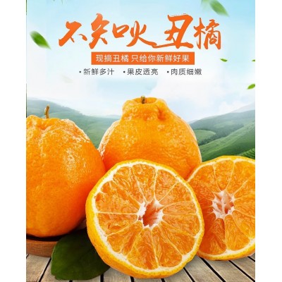 四川耙耙柑春见应当季水果丑八怪橘子一件代发图2