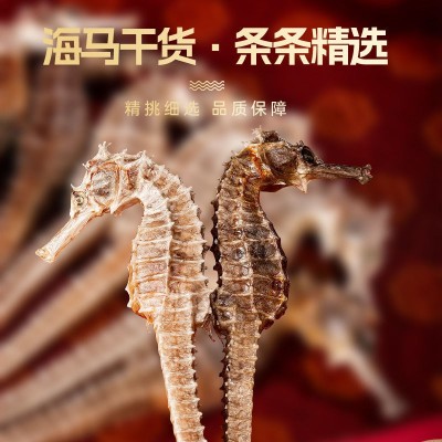 本港正规溯源码海马精选正宗海马干货 资质齐全 精选优质 海马干货图2