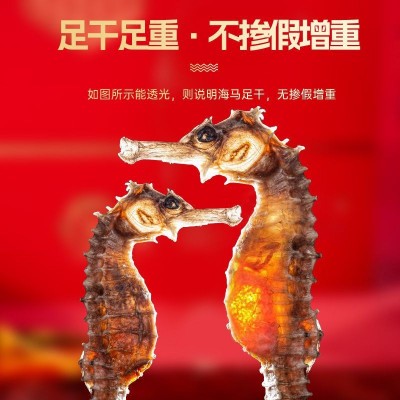 本港正规溯源码海马精选正宗海马干货 资质齐全 精选优质 海马干货图4