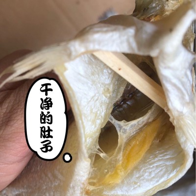 跑江湖地摊展会淡水鲈鱼干海鲜干货海鲈鱼咸鱼干散装咸鱼干厂家批图4
