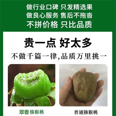 翠香猕猴桃果王精品绿心5斤水果新鲜整箱孕妇奇异果批发图3
