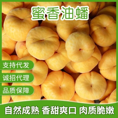 果园直发新鲜现摘金秋红蜜桃 批发代发黄金蟠桃 诚招代理图2