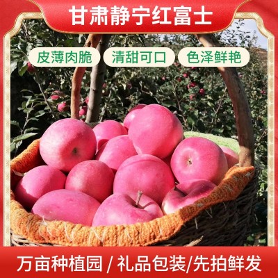 甘肃苹果静宁苹果静宁红富士礼盒包装苹果批发丑苹果整箱85果