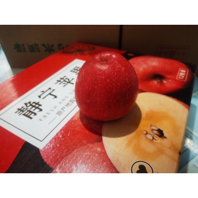 特大85以上静宁精品红富士特大果苹果水果批发一件代发图2