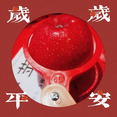 特大85以上静宁精品红富士特大果苹果水果批发一件代发图4