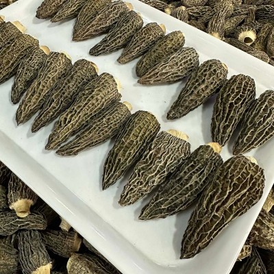 七妹黑纹厚肉羊肚菌爆干货精品5-7公分左头茬细纹批发一件代发图3