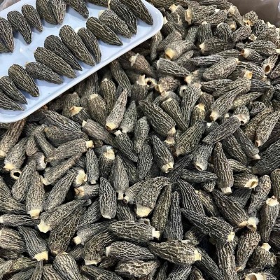 七妹黑纹厚肉羊肚菌爆干货精品5-7公分左头茬细纹批发一件代发