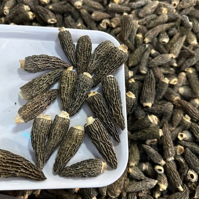 七妹黑纹厚肉羊肚菌爆干货精品5-7公分左头茬细纹批发一件代发图2
