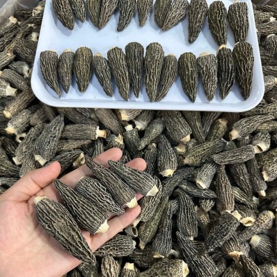 七妹黑纹厚肉羊肚菌爆干货精品5-7公分左头茬细纹批发一件代发图4