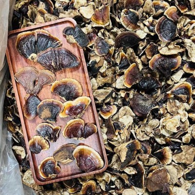 金边小灵芝批发散装 白底小金边灵芝灵芝片味不苦可煲汤一件代发图3