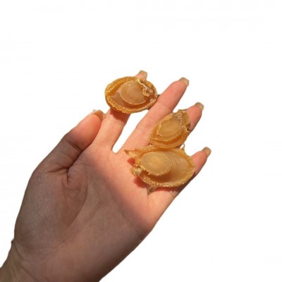 干佛跳墙煲汤食材一件代发连干鲍鱼批发深海大鲍鱼干货商用鲍鱼图5