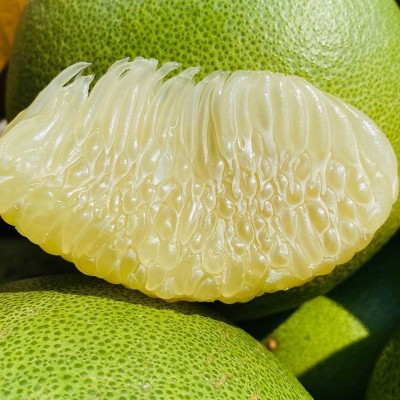 柚子青柚新鲜白心蜜柚2当季孕妇水果脆甜多汁应季4个整箱一件代发图2