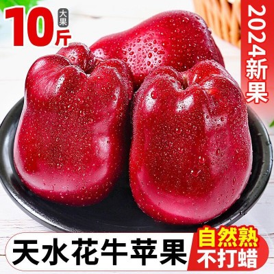 花牛苹果甘肃天水10斤新鲜水果整箱包邮当季红蛇粉面丑当季平果
