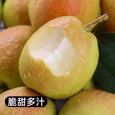 香梨现货新疆库尔勒母梨新鲜水果梨子10斤整箱混批一件代发图4