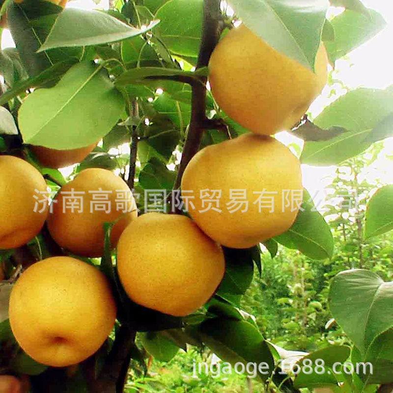 微信图片_20190715094038