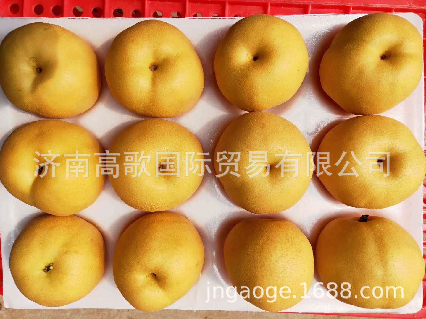 微信图片_20190715094022