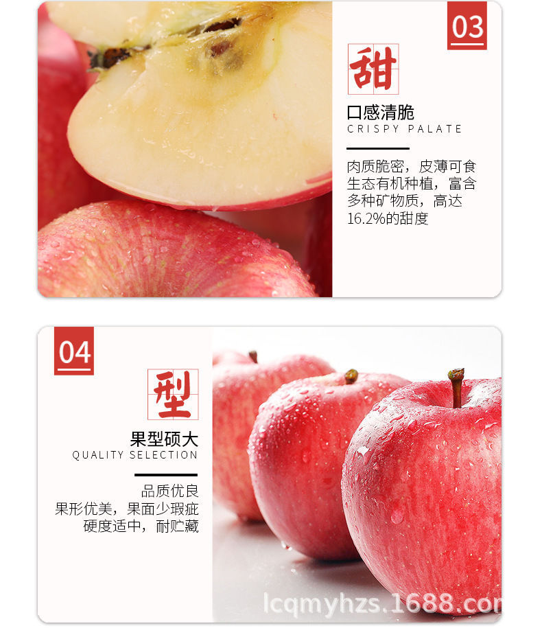 苹果经营许可证.jpg