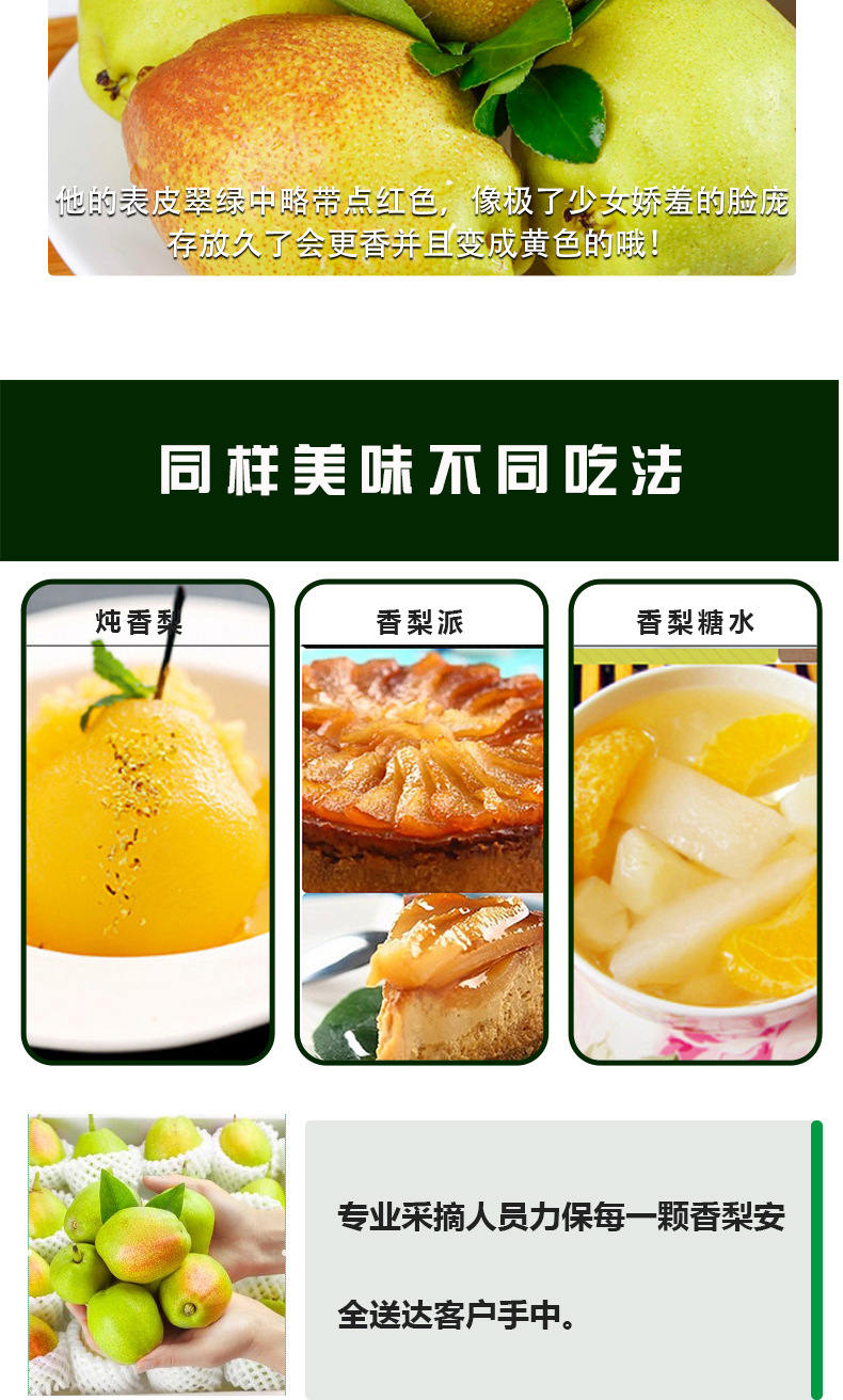 库尔勒香梨_06