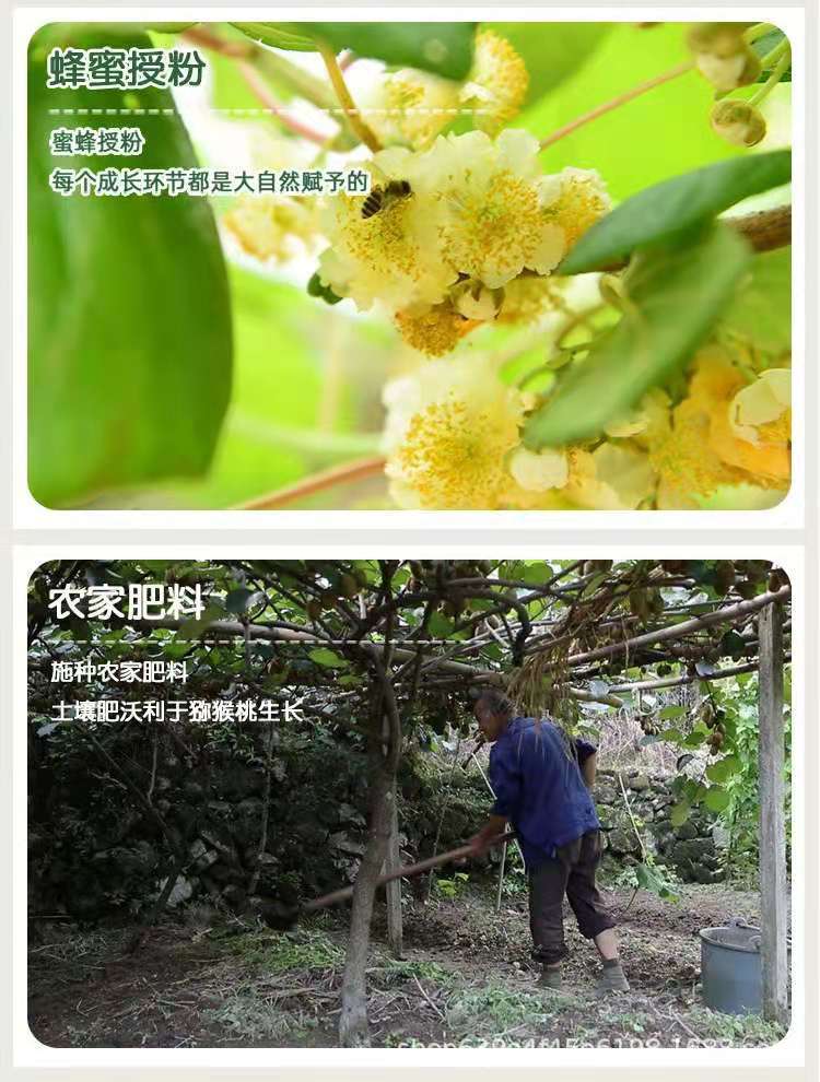 微信图片_20210822143548.jpg