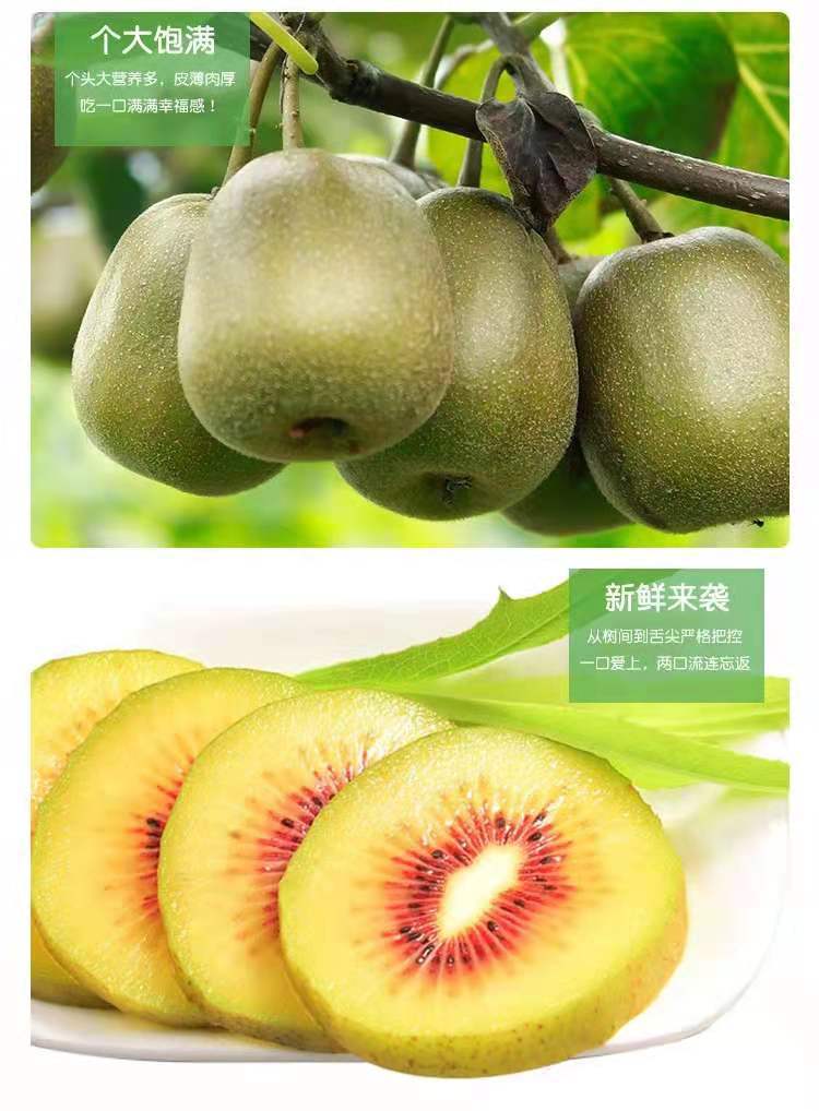 微信图片_20210822143600