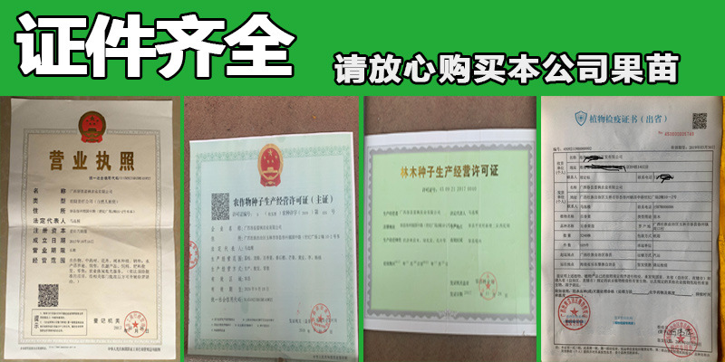 未标题-6