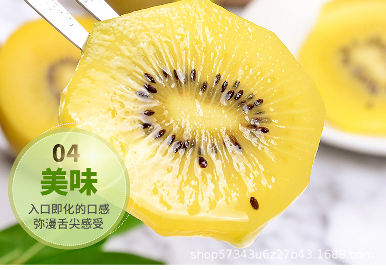 黄心猕猴桃_07.jpg