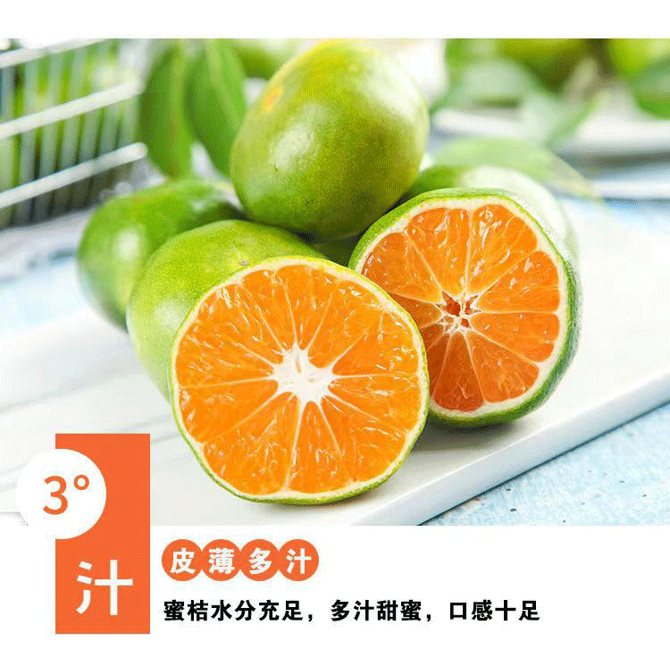 早柑_09.gif
