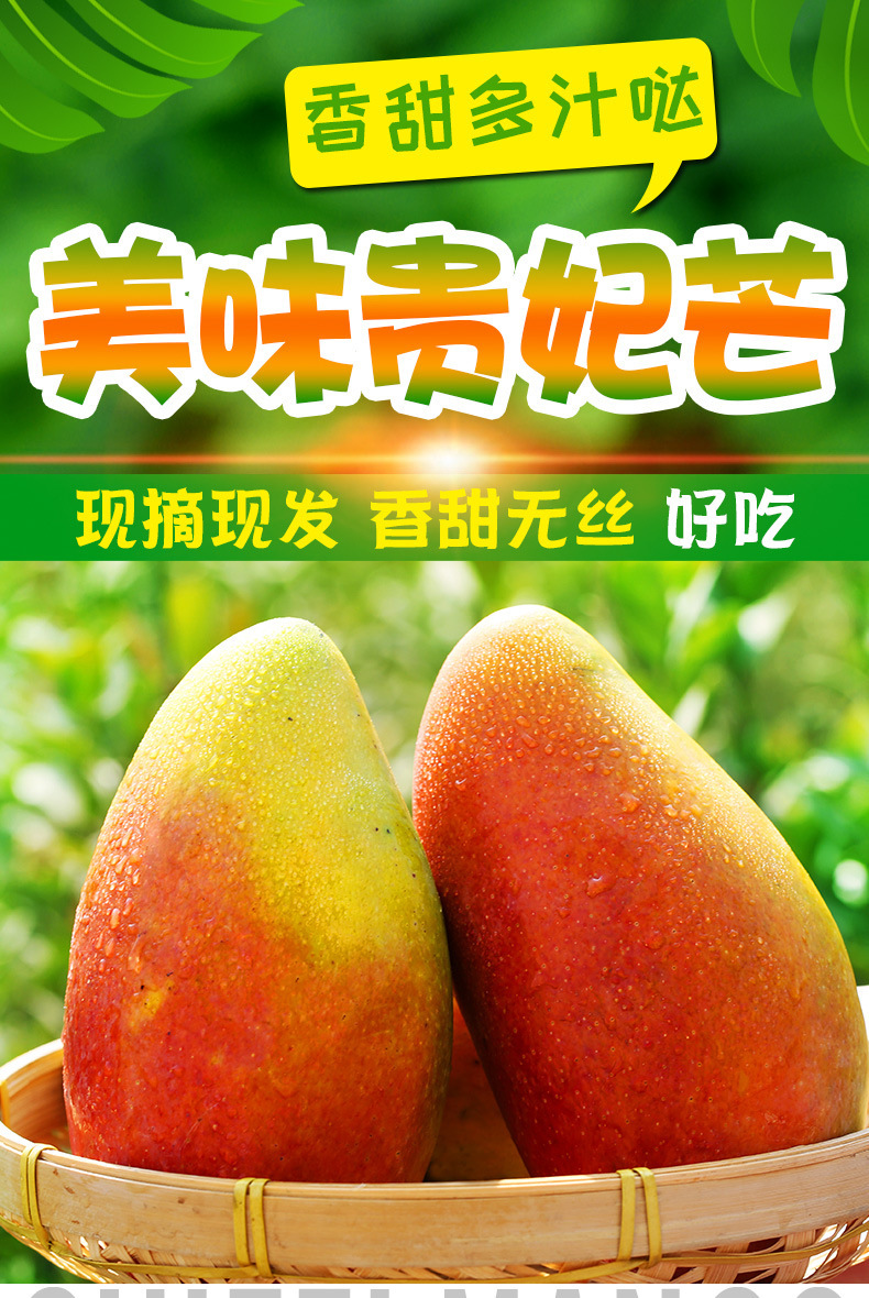 裁切_01