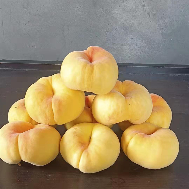微信图片_20211026124636