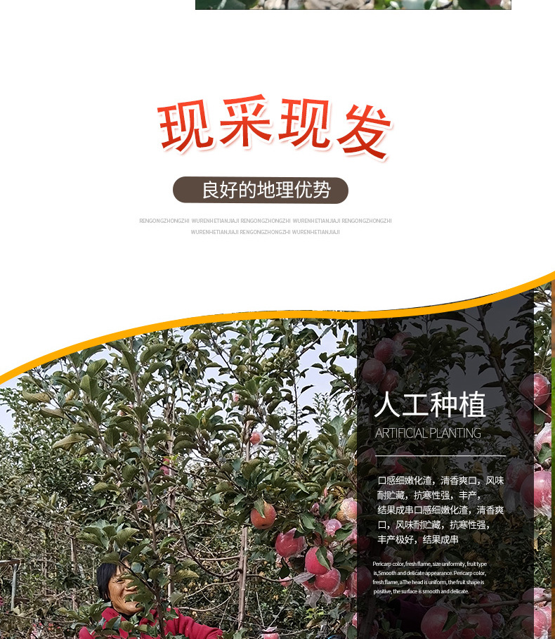详情_08.jpg