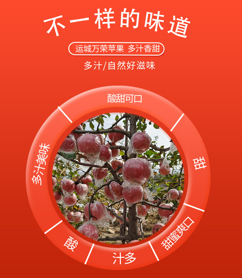 详情_03.jpg