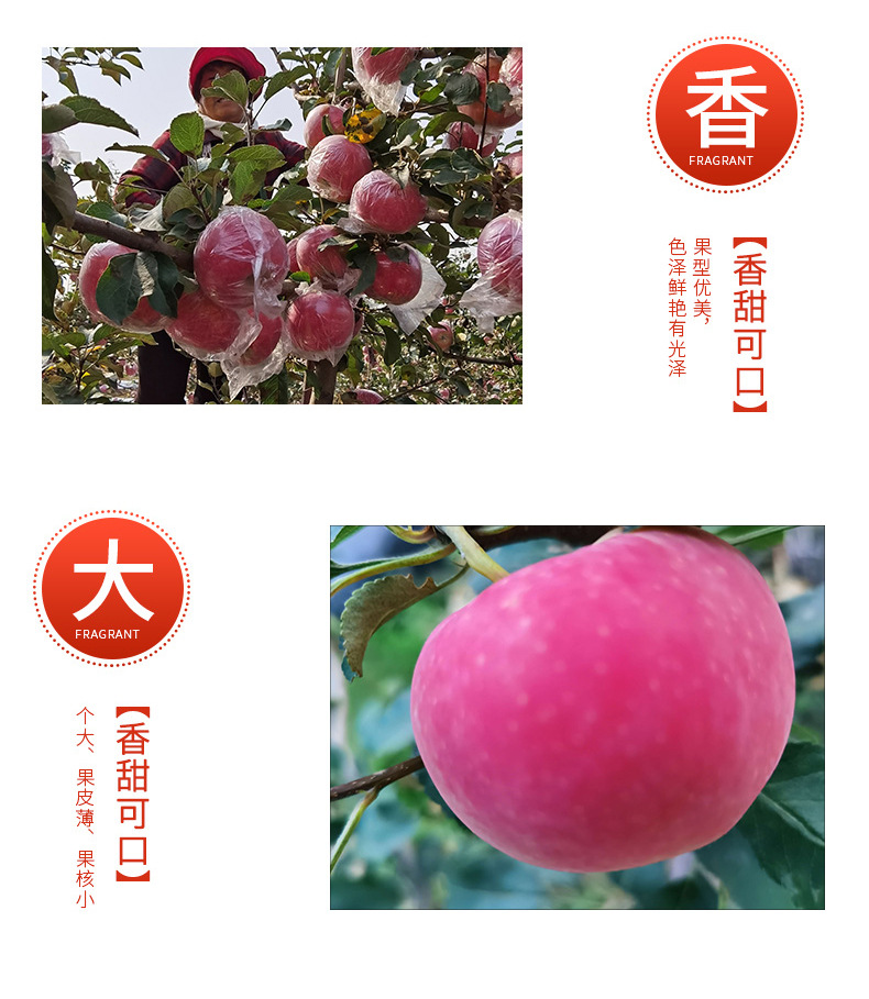 详情_06.jpg