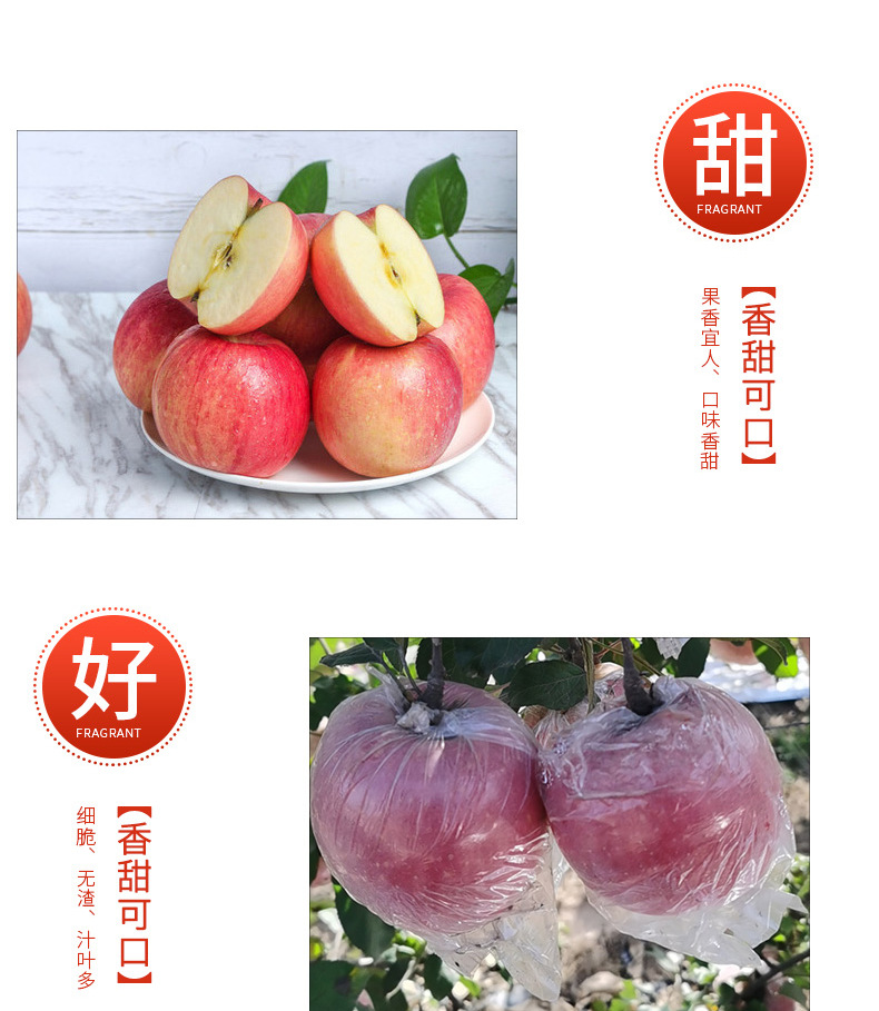 详情_07.jpg