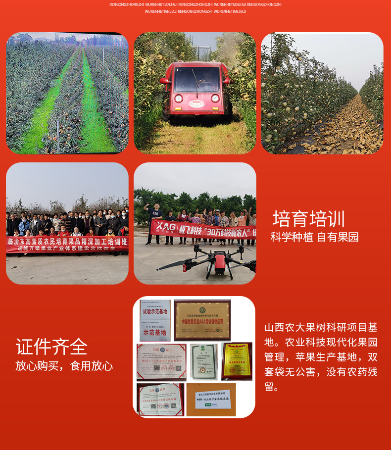 详情_10.jpg