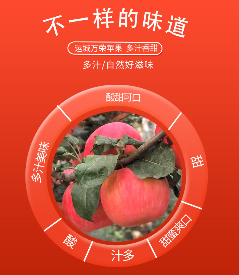 详情_03.jpg
