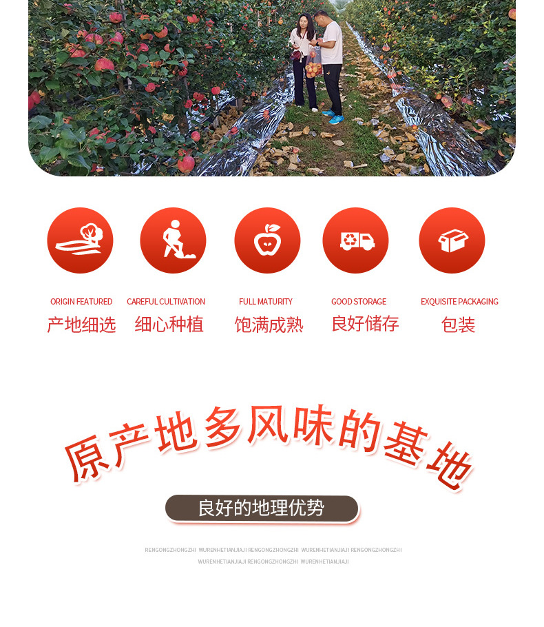 详情_05.jpg
