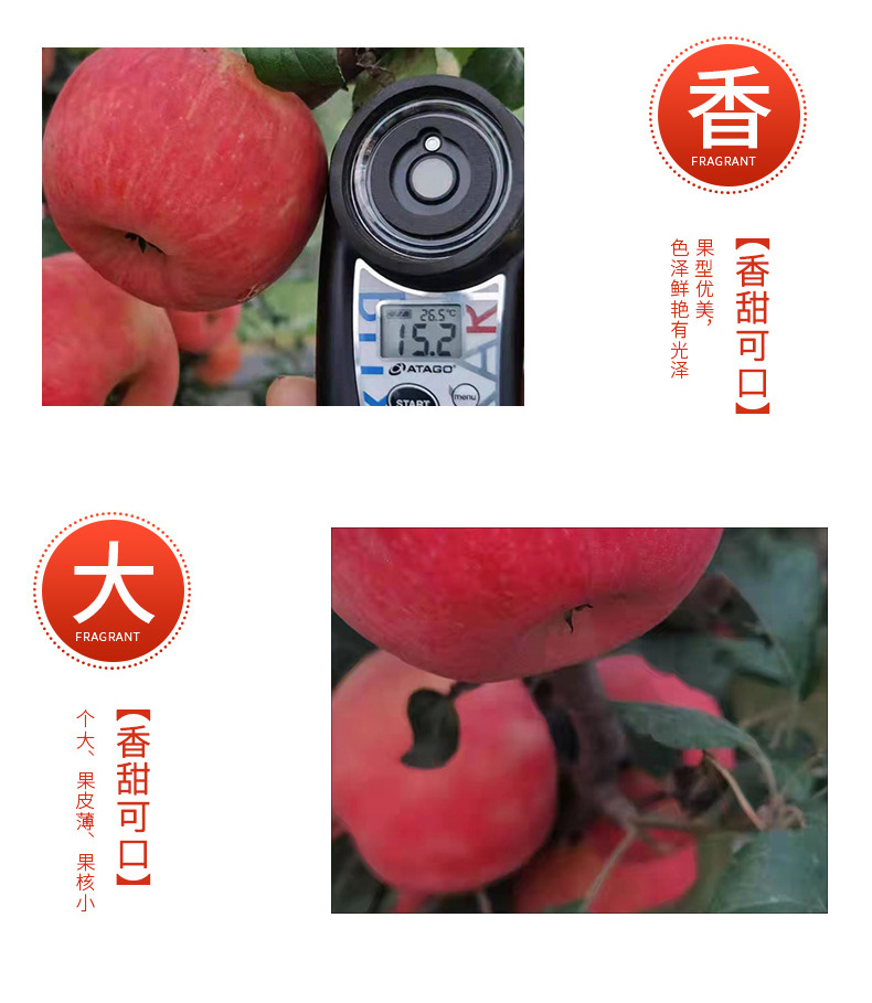 详情_06.jpg