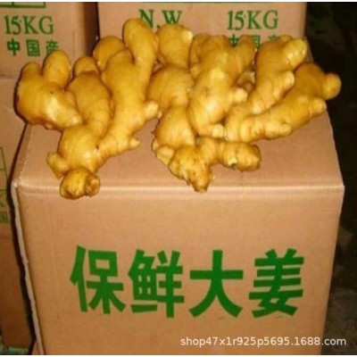 山东生姜基地常年供应 大黄姜，小黄姜图3