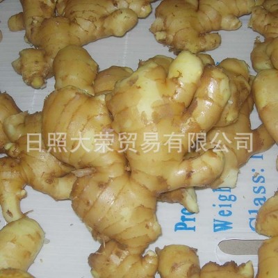 绿色生姜姜窖藏大姜 出口新鲜生姜 山东特产鲜黄生姜老姜批发图3