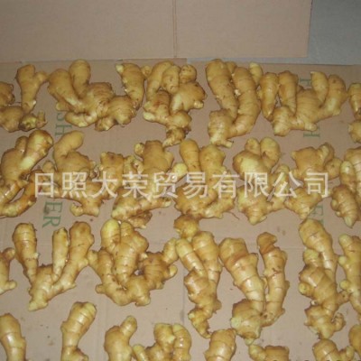 绿色生姜姜窖藏大姜 出口新鲜生姜 山东特产鲜黄生姜老姜批发图5