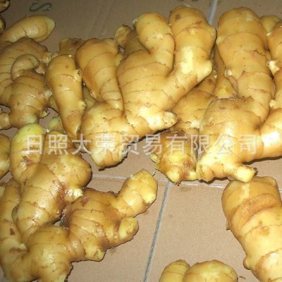 绿色生姜姜窖藏大姜 出口新鲜生姜 山东特产鲜黄生姜老姜批发图4
