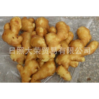 绿色生姜姜窖藏大姜 出口新鲜生姜 山东特产鲜黄生姜老姜批发图2