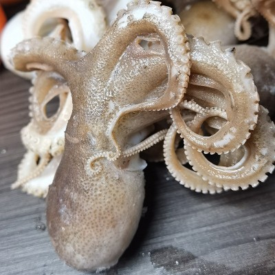 新鲜冷冻生鲜整只八爪鱼海鲜水产爆头短脚小章鱼商用冷冻食材批发图2