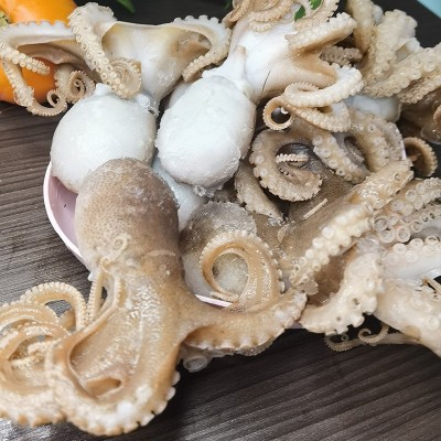 新鲜冷冻生鲜整只八爪鱼海鲜水产爆头短脚小章鱼商用冷冻食材批发图3