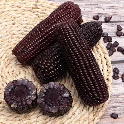 黑糯玉米10根包邮东北新鲜紫黏玉米双棒装即食甜嫩苞米粒真空蔬菜图2