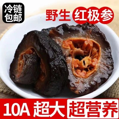 红极参 野生红极参淡干海参干货 非养殖淡干红极参 袋装 现货批发图2